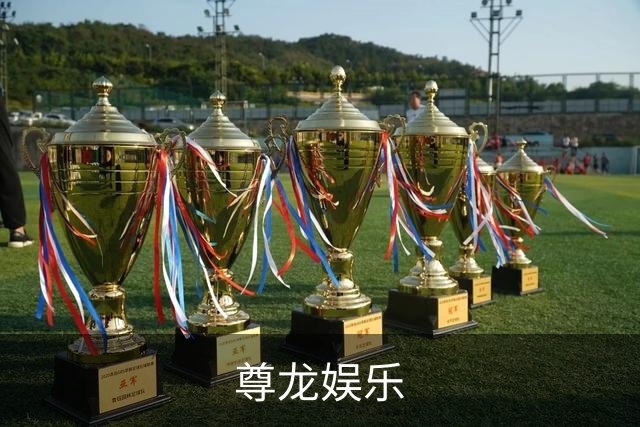尊龙娱乐公司介绍